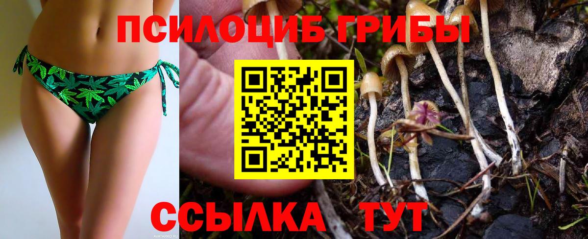 Псилоцибиновые грибы Cubensis  Галлюциногенные грибы мухоморы  Вход с VPN  Котельники 